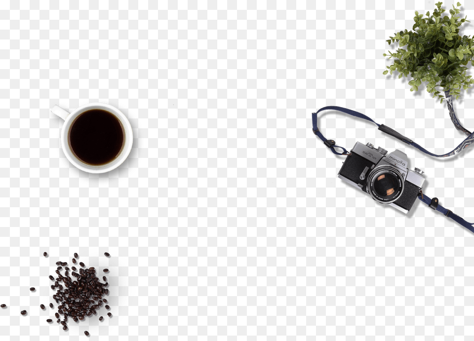 Coffee Substitute, Cup, Beverage, Coffee Cup, Plant Free Transparent Png