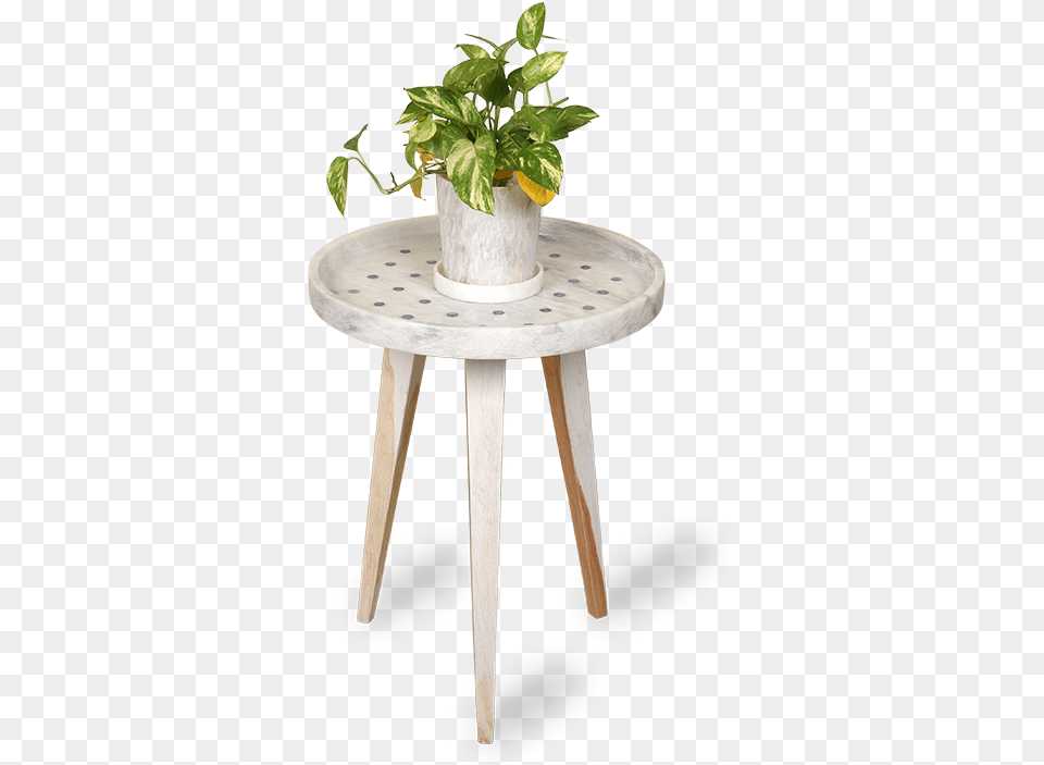 Coffee Table, Coffee Table, Potted Plant, Plant, Furniture Free Png