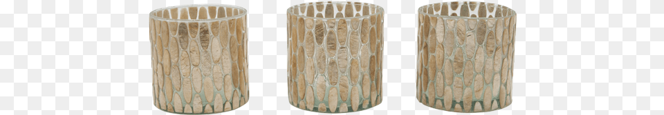 Coffee Table, Lamp, Wood, Plant, Tree Png Image