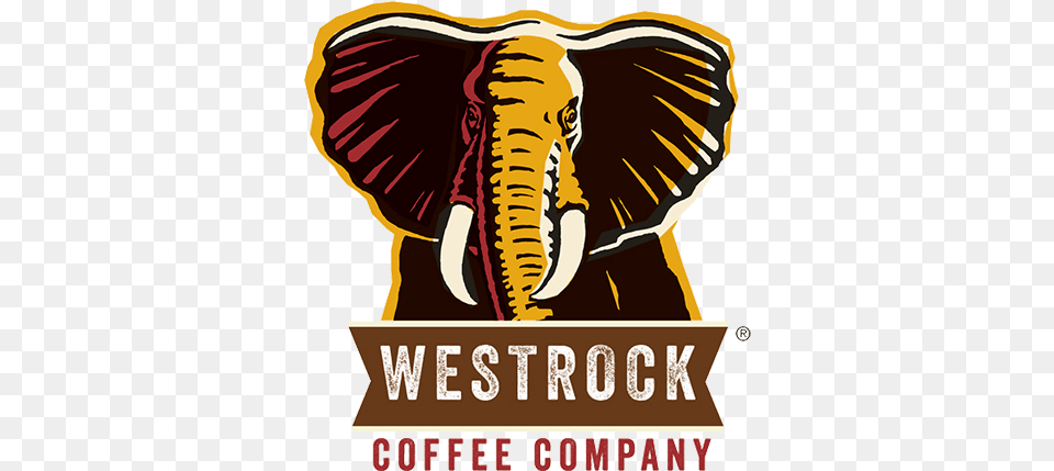 Coffee Tea From Cott Corporation Westrock Coffee, Person, Animal, Wildlife, Mammal Free Png