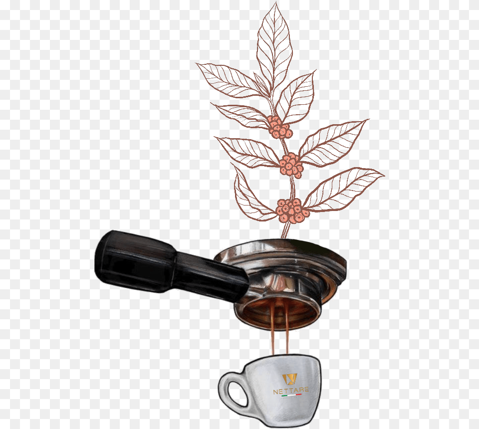 Coffee Tree To Cup, Appliance, Ceiling Fan, Device, Electrical Device Free Transparent Png