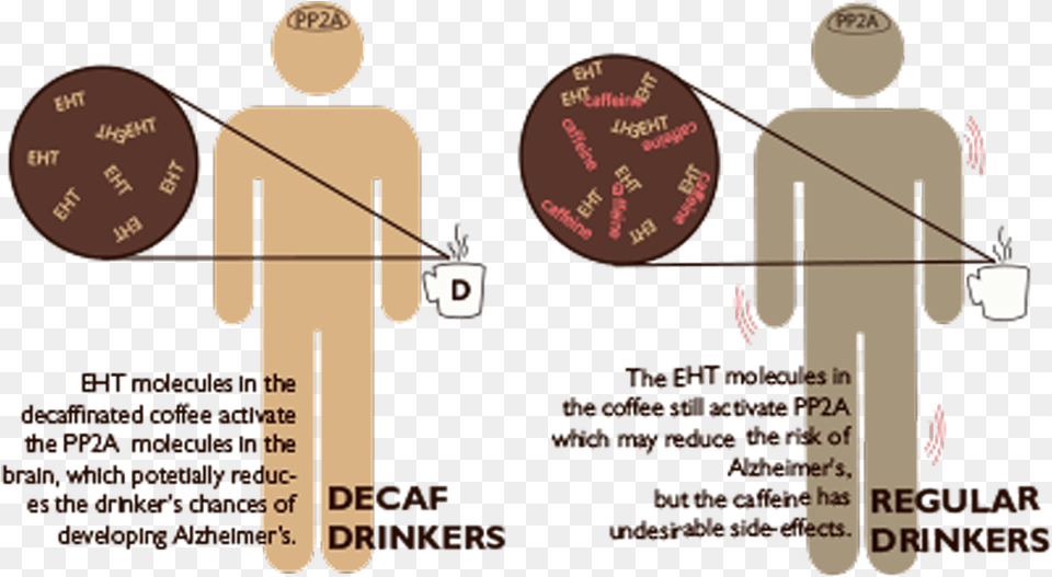 Coffeeeeee Coffee Drinker Brain Scan, Chart, Plot, Text Png