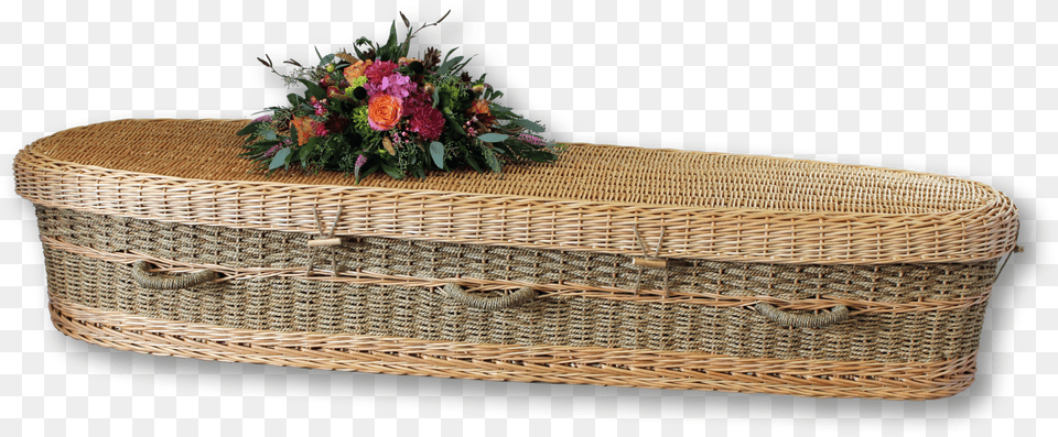 Coffin, Flower, Plant, Rose Free Png