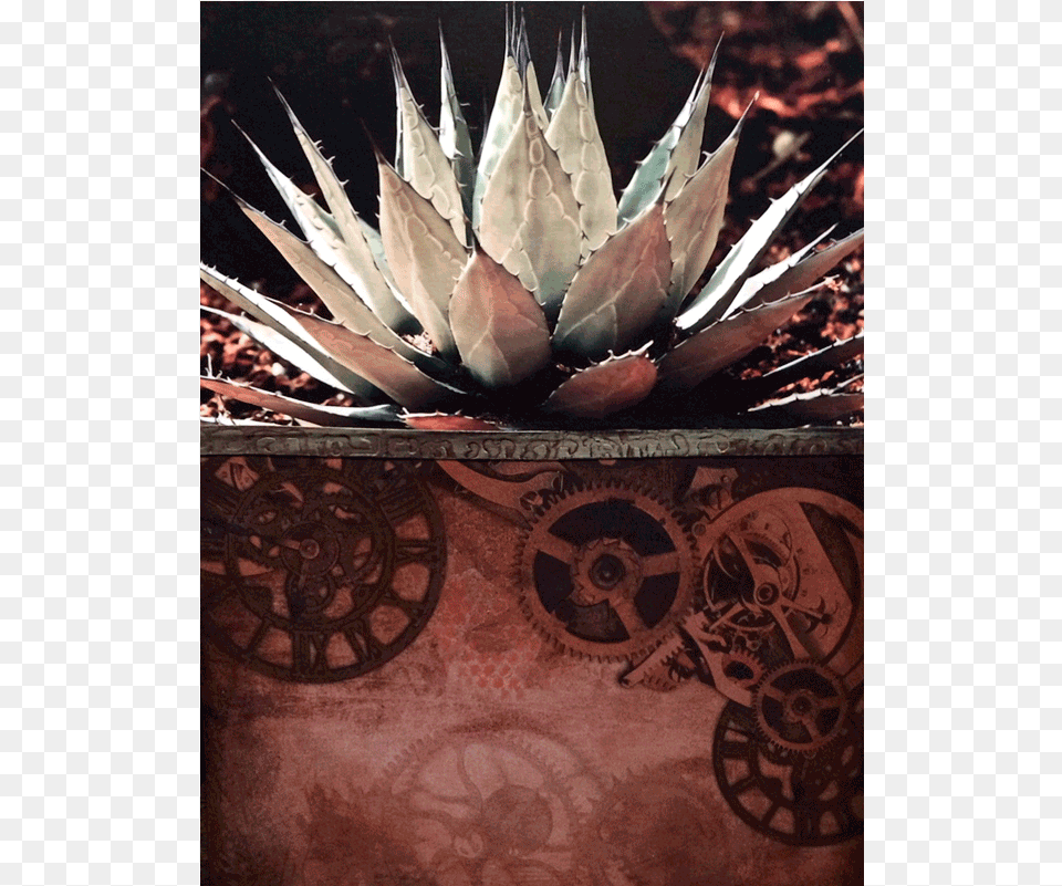 Cog Native Mulan Vintage Storybook Necklace, Agavaceae, Plant, Aloe Png Image