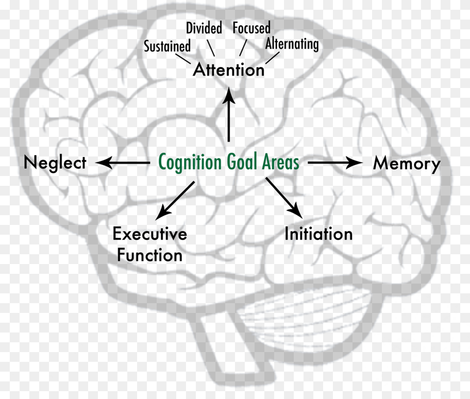 Cognitiongraphic Website Diagram, Animal, Coral Reef, Nature, Outdoors Png