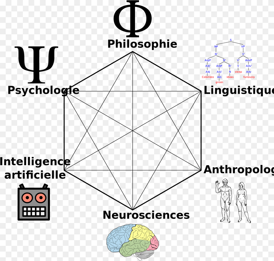 Cognitive Science Free Png