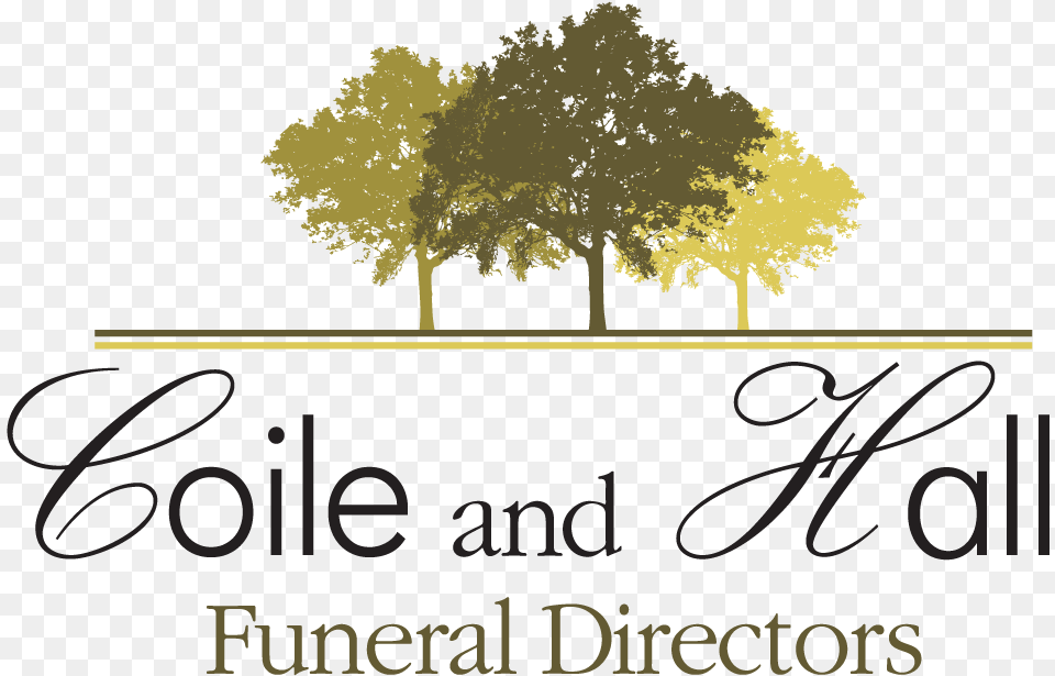 Coile And Hall Funeral Directors, Vegetation, Tree, Plant, Sycamore Png Image