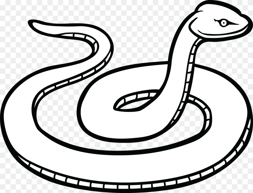 Coiled Snake Hd Transparent Coiled Snake Hd, Animal, Stencil, Text, Reptile Png