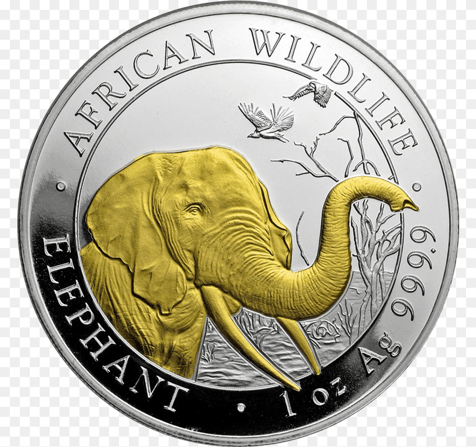 Coin, Animal, Elephant, Mammal, Wildlife Free Transparent Png