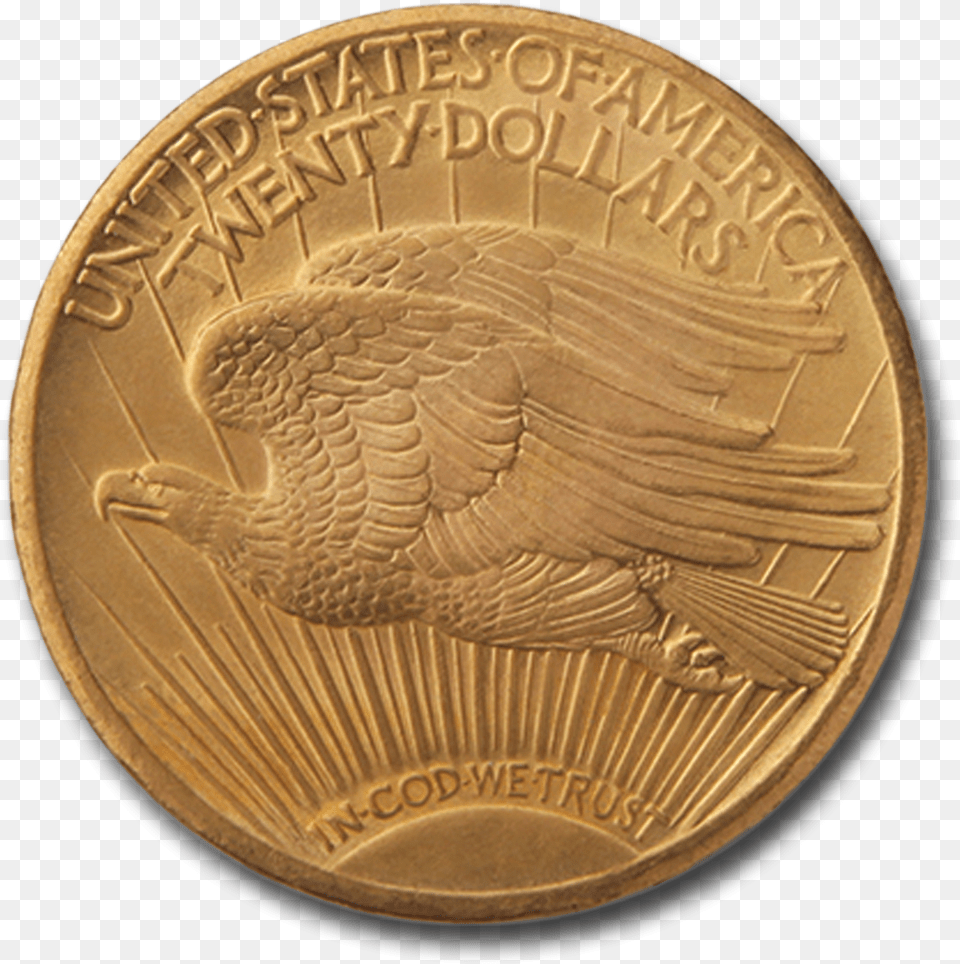 Coin, Money, Animal, Bird, Gold Png