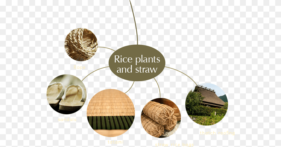 Coin, Countryside, Nature, Outdoors, Straw Png