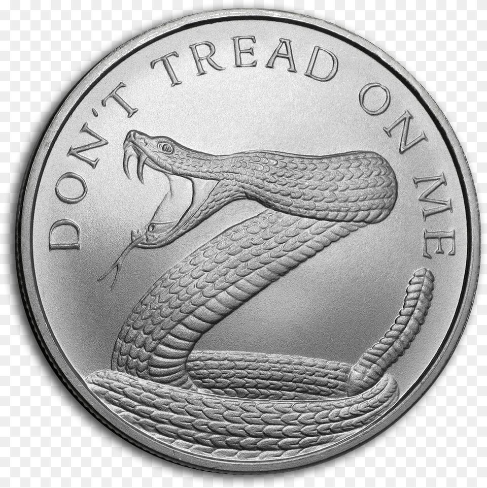 Coin, Silver, Money, Animal, Reptile Free Transparent Png