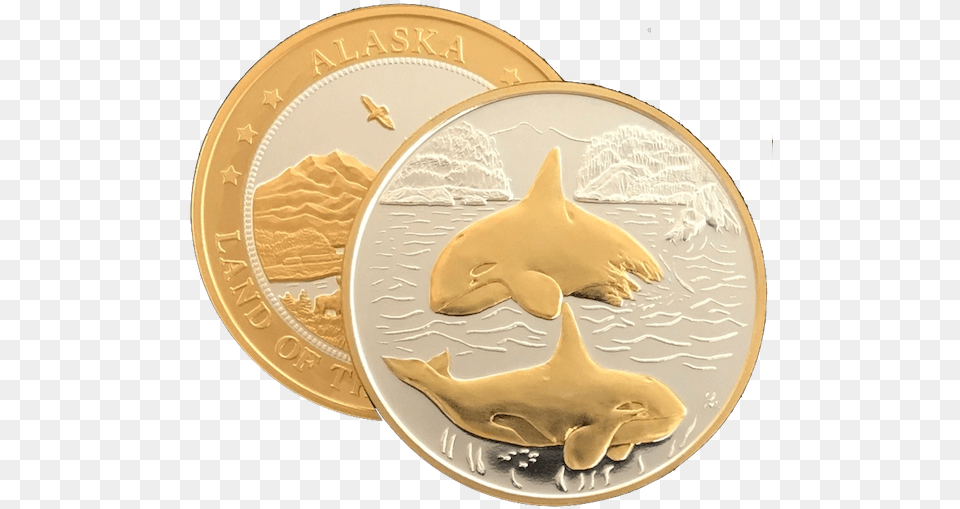 Coin, Gold, Plate, Money, Animal Free Transparent Png