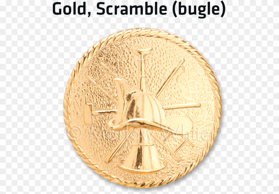 Coin, Gold, Trophy, Gold Medal, Plate Free Png