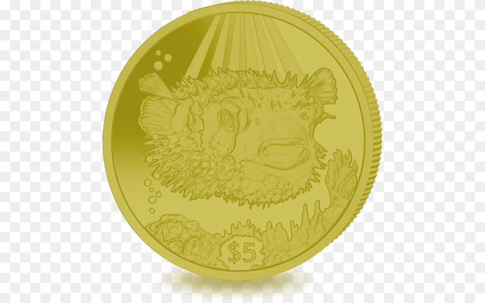 Coin, Gold, Money, Face, Head Png