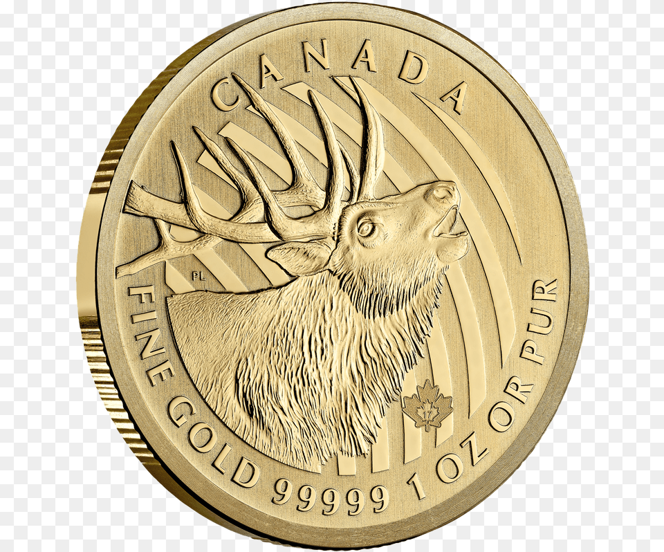 Coin, Gold, Money Png Image