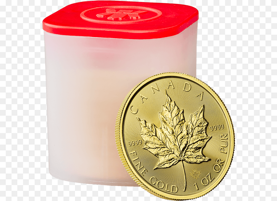 Coin, Gold, Jar Free Png