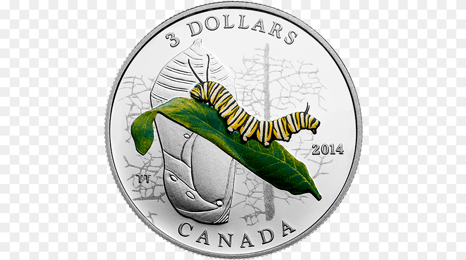 Coin, Animal, Insect, Invertebrate, Money Free Png Download