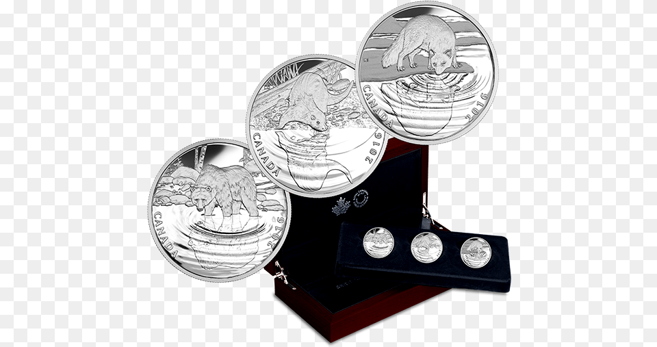 Coin, Silver, Animal, Bear, Mammal Png Image