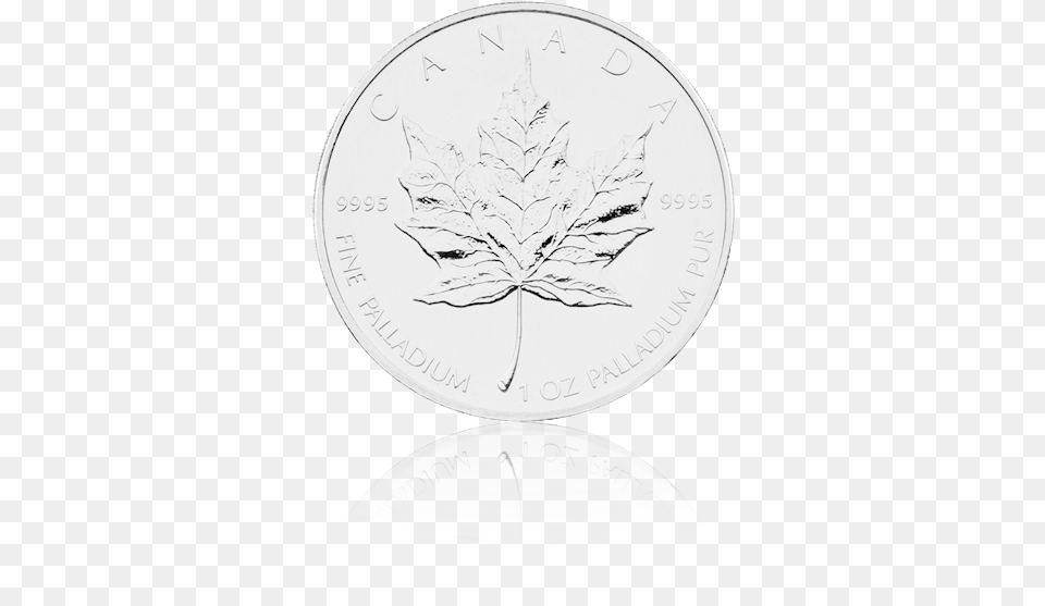 Coin, Silver, Leaf, Plant, Money Free Png Download
