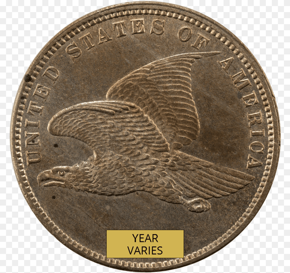Coin, Animal, Bird, Money Free Transparent Png