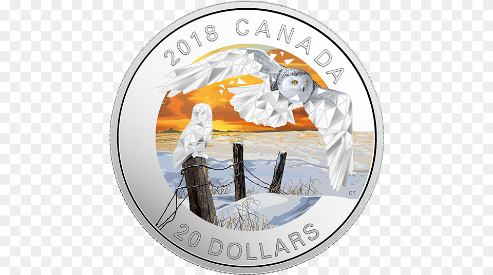 Coin Canada 2018 Owl, Photography Free Transparent Png