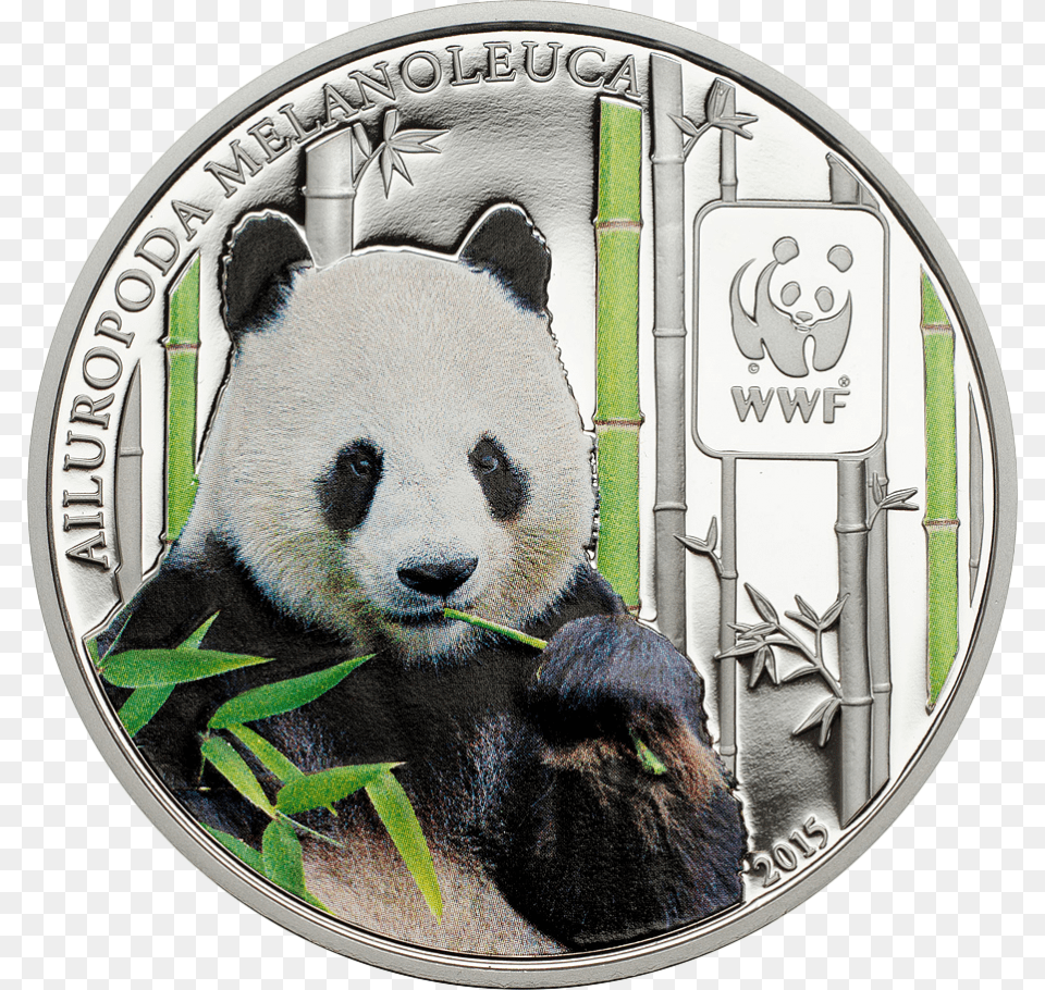 Coin Coin, Animal, Bear, Giant Panda, Mammal Png Image