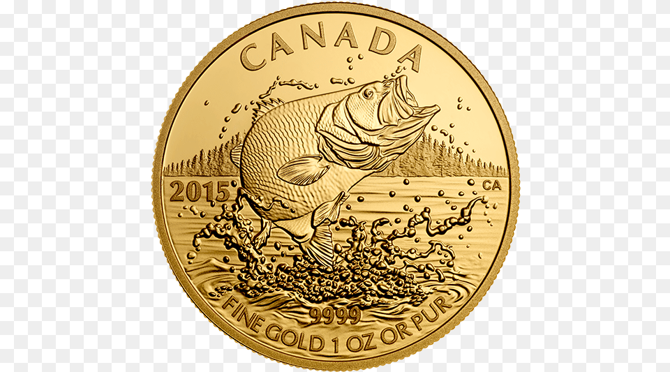 Coin Illustrator, Gold, Animal, Fish, Sea Life Free Png