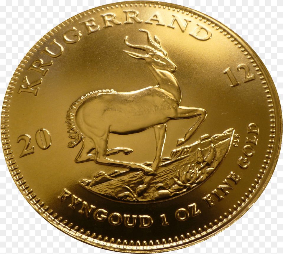 Coin Image Coin, Gold, Money, Animal, Horse Png