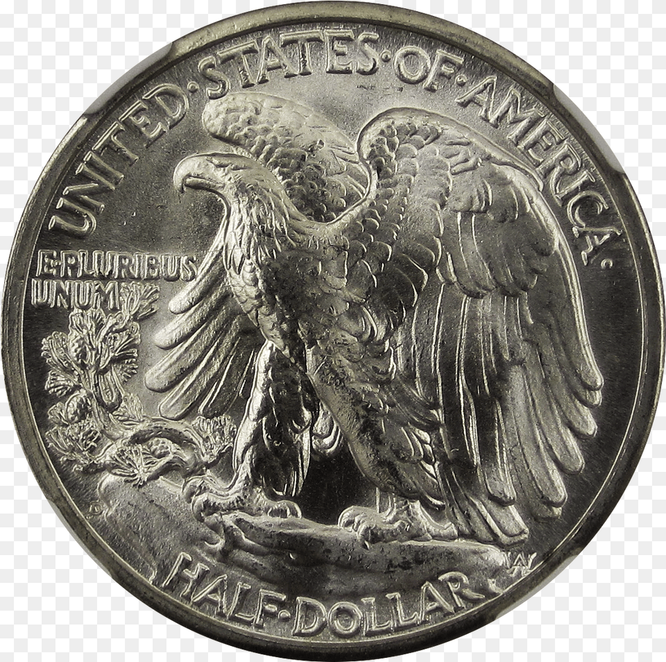 Coin Nron, Animal, Bird, Money Png Image
