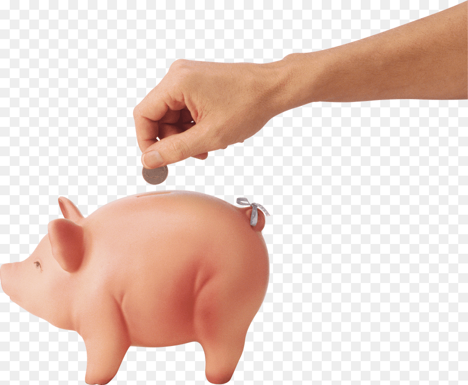 Coin Pig, Piggy Bank, Baby, Person Png Image