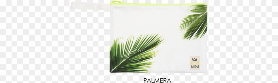 Coin Purse, Leaf, Plant, Bag, Palm Tree Free Transparent Png