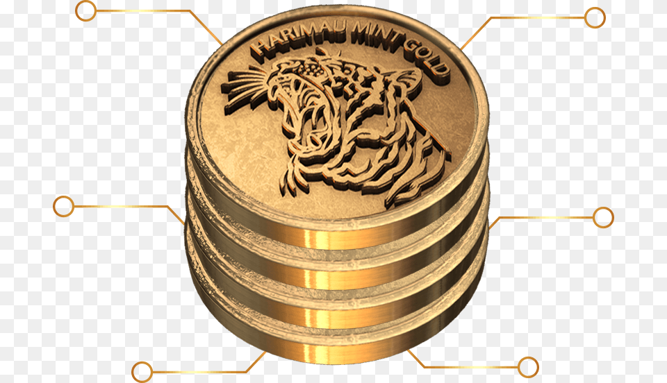 Coin We Provide The Service To Produce The Gold Coin Circle, Bronze, Money Free Png Download