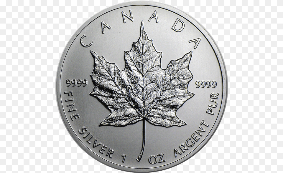 Coinimg Canadian Mapleleaf Silver2 Maple Leaf Silver 1 Oz, Plant, Coin, Money Png