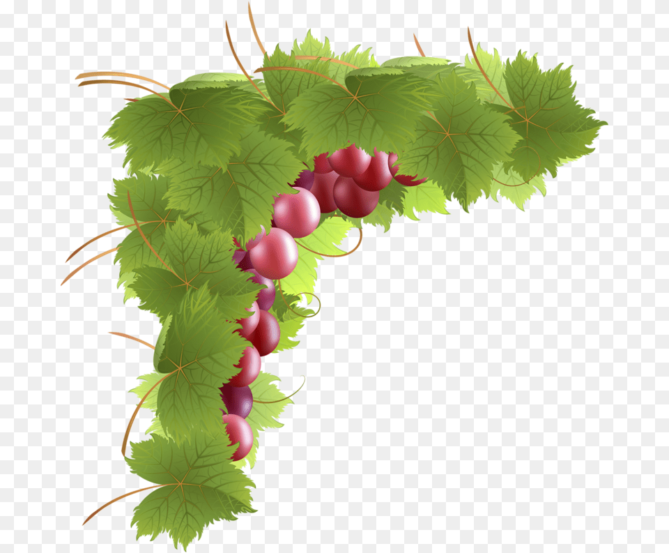 Coinscornersbordures Bordures De, Food, Fruit, Grapes, Plant Free Png Download