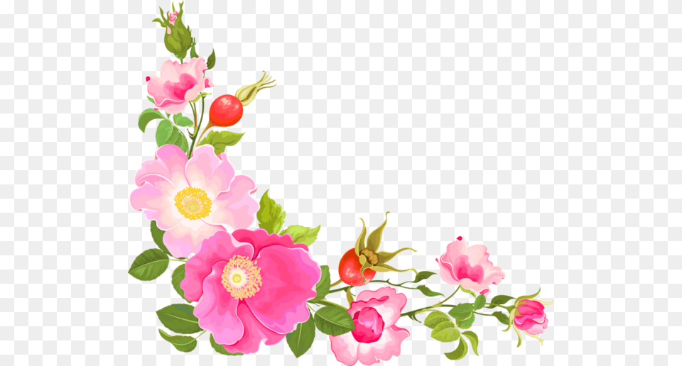 Coinscornersbordures Flowers Corner Flowers, Anemone, Plant, Petal, Rose Free Png Download