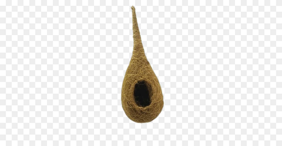 Coir Bird Nest, Animal, Giraffe, Mammal, Wildlife Png