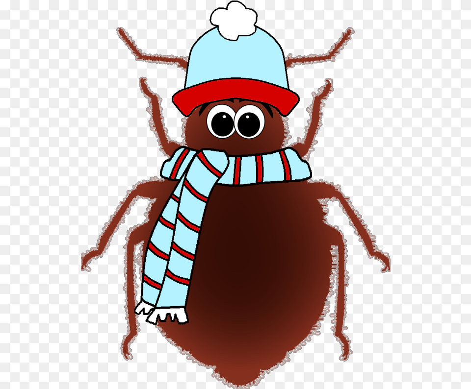 Cold Bug, Animal, Baby, Person, Face Free Transparent Png