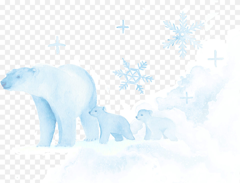 Cold Flu Snow, Animal, Bear, Mammal, Wildlife Free Png Download