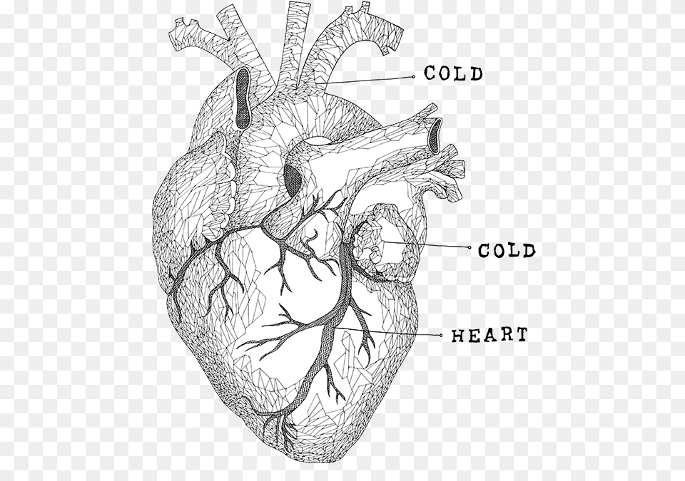 Cold Heart Facebook Your Cold Cold Heart, Art, Adult, Bride, Female Free Png Download