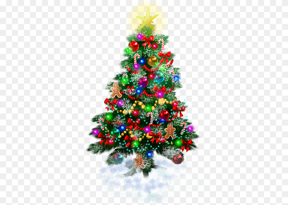 Cold Island Big Tree Holiday Christmas Day, Plant, Festival, Christmas Decorations, Christmas Tree Free Png