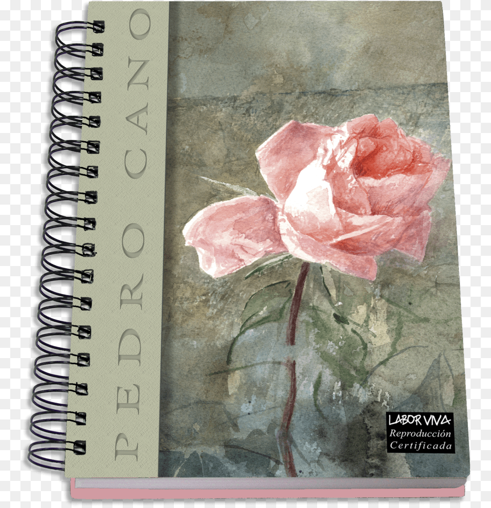 Coleccin Agendas Pedro Cano Diary, Flower, Petal, Plant, Rose Free Png Download