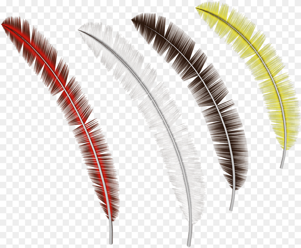 Coleccin De Plumas Feather, Accessories, Brush, Device, Tool Free Transparent Png