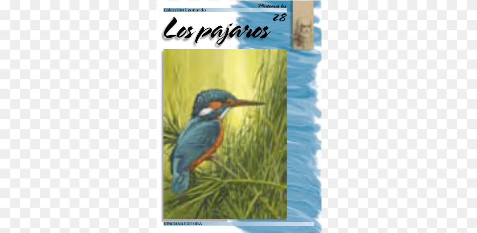 Coleccion Leonardo N28 Los Pajaros Book, Animal, Beak, Bird, Publication Png Image