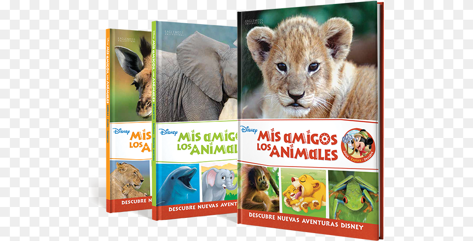 Coleccion Mis Amigos Los Animales, Animal, Lion, Mammal, Wildlife Free Png Download