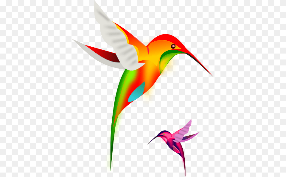Colibri Birds Clip Art Vector, Animal, Bird, Hummingbird, Bee Eater Free Png