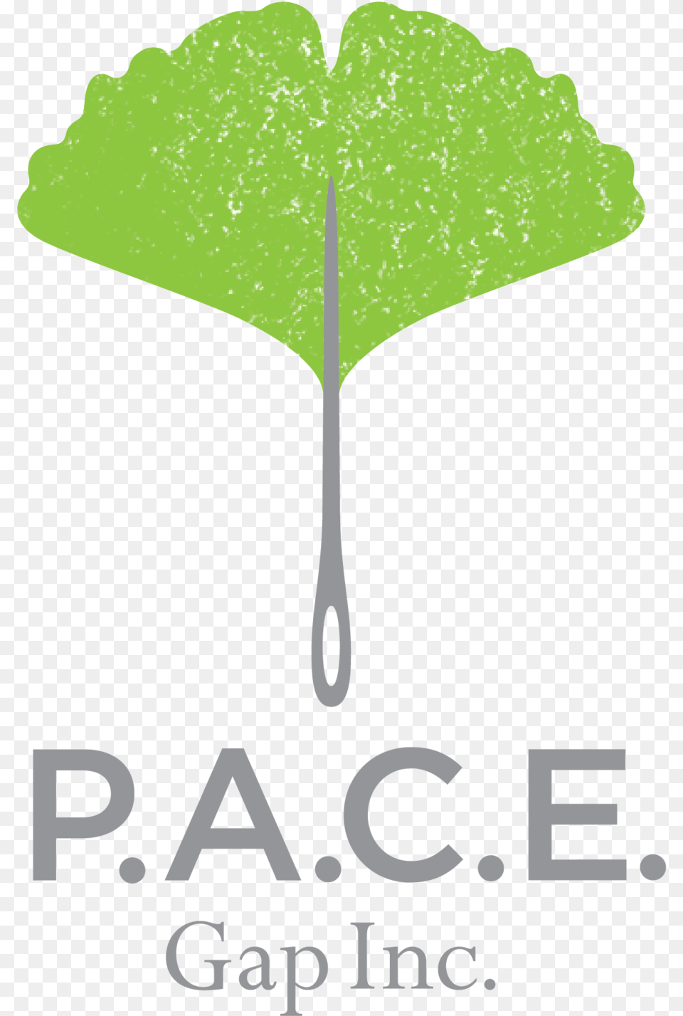 Collaborative Gap Pace Program, Leaf, Plant, Green, Herbal Free Transparent Png