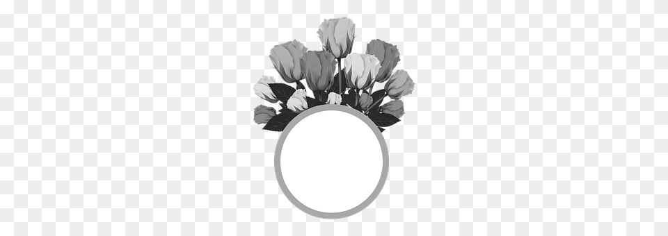Collage Photography, Plant, Flower Bouquet, Flower Arrangement Png Image