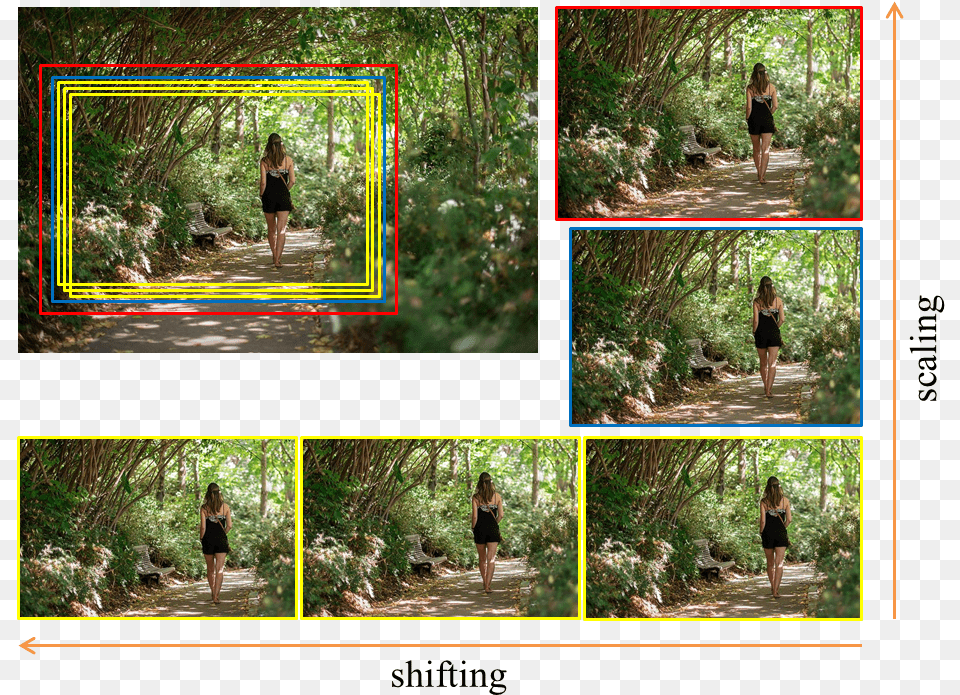 Collage, Art, Walking, Vegetation, Tree Png