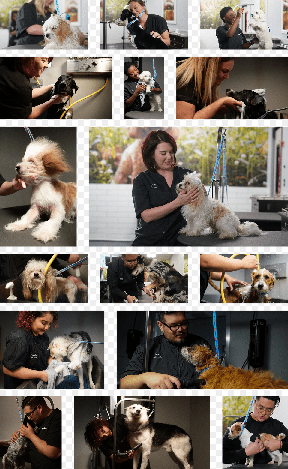 Collage Png Image